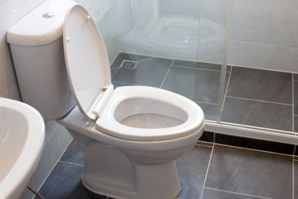 Cost of Toilet Replacement in Willoughby