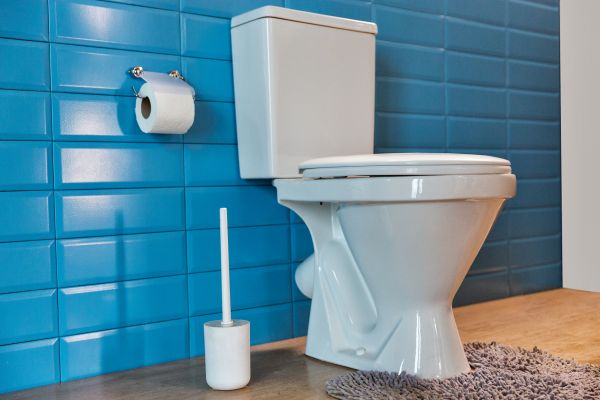 Cost of Toilet Tank Repair in Willoughby