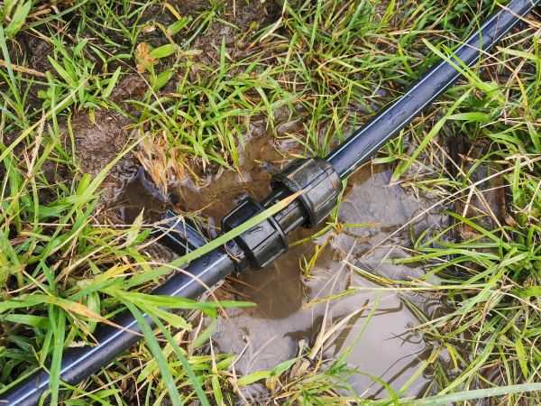 Water Pipe Leak Detection in Willoughby