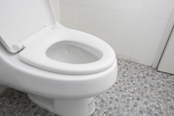 Cost of New Toilet Installation in Willoughby